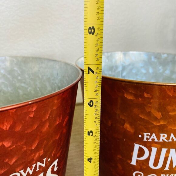 Fall Farmhouse Pumpkin & Apple Tin Bucket Planters Decor Set - Picture 3 of 4